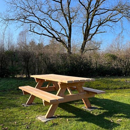 Vakantiehuis Eikzicht Gelegen Aan Het Bos Elsloo (Friesland) Exterior foto