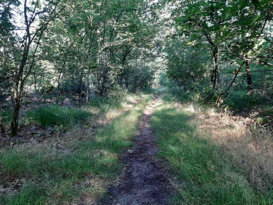 Vakantiehuis Eikzicht Gelegen Aan Het Bos Elsloo (Friesland) Exterior foto