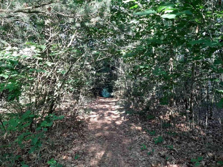 Vakantiehuis Eikzicht Gelegen Aan Het Bos Elsloo (Friesland) Exterior foto