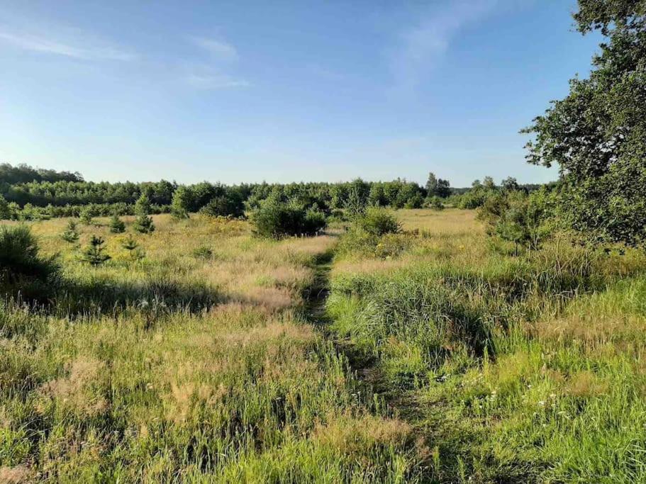 Vakantiehuis Eikzicht Gelegen Aan Het Bos Elsloo (Friesland) Exterior foto