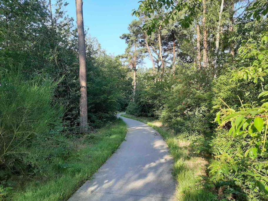 Vakantiehuis Eikzicht Gelegen Aan Het Bos Elsloo (Friesland) Exterior foto