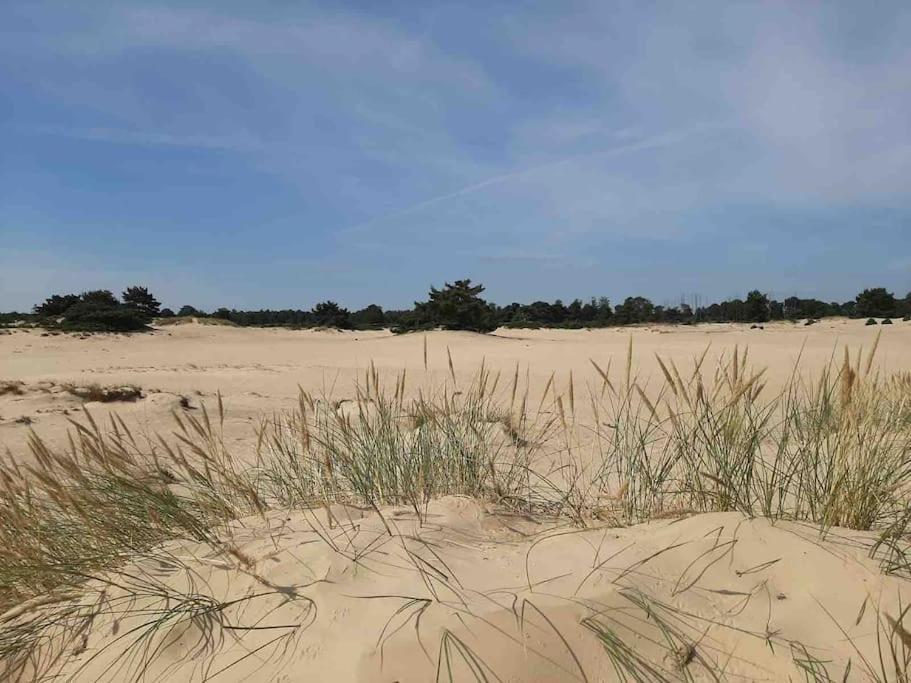 Vakantiehuis Eikzicht Gelegen Aan Het Bos Elsloo (Friesland) Exterior foto