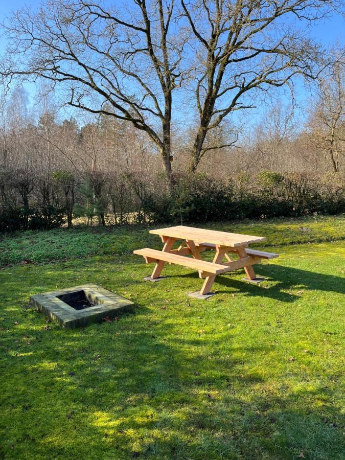 Vakantiehuis Eikzicht Gelegen Aan Het Bos Elsloo (Friesland) Exterior foto